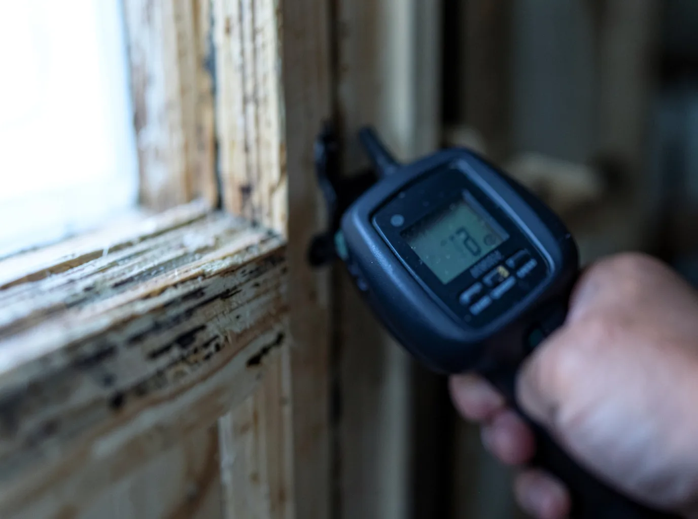 Water Damage Restoration Lummi Island, WA FAQs